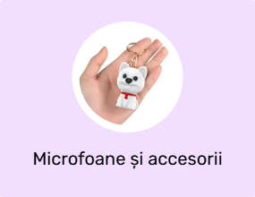 Microfoane și accesorii