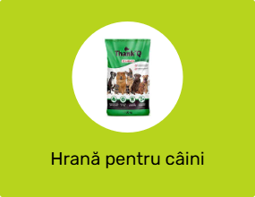 Hrană pentru câini