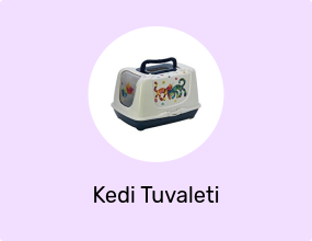 Kedi Tuvaleti