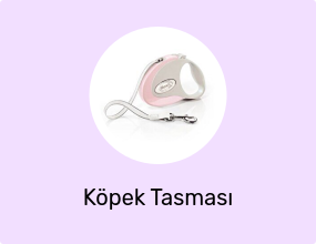 Köpek Tasması