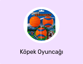 Köpek Oyuncağı