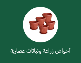 أحواض زراعة ونباتات عصارية