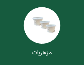 مزهريات