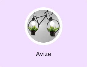 Avize