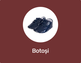 Botoși