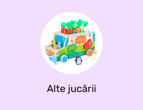 Alte jucării
