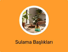 Sulama Başlıkları