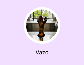 Vazo