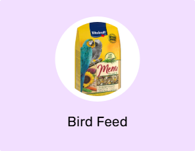 Bird Feed