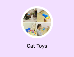 Cat Toys