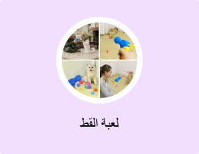 لعبة القط