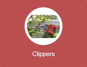 Clippers