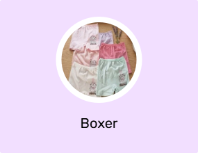Boxer