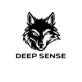 DEEP SENSE