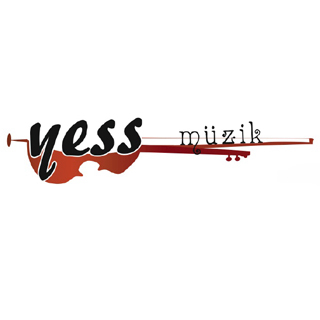 YESS MÜZİK İÇ VE DIŞ TİC. LTD. ŞTİ. logo