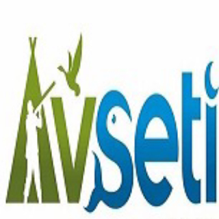 Avseti logo