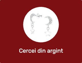 Cercei din argint