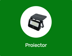 Proiector