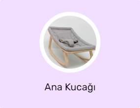 Ana Kucağı