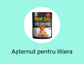 Așternut pentru litiera pisicii