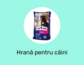 Hrană pentru câini