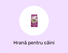 Hrană pentru câini