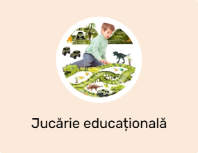 Jucărie educațională