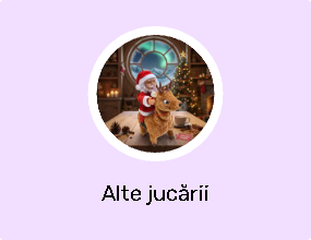 Alte jucării