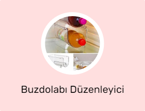 Buzdolabı Düzenleyici