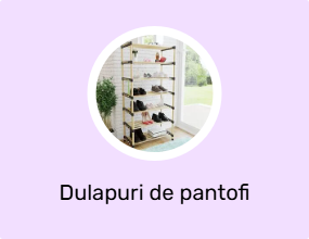 Dulapuri de pantofi