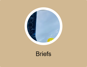 Briefs