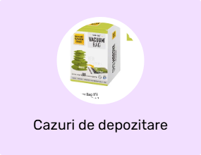 Cazuri de depozitare