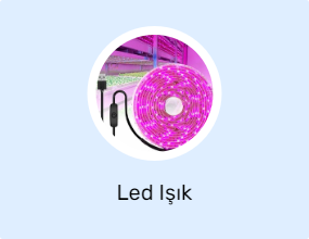 Led Işık