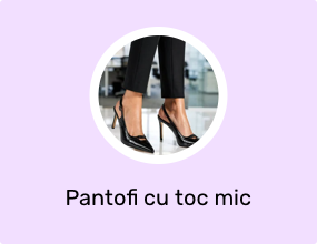 Pantofi cu toc mic