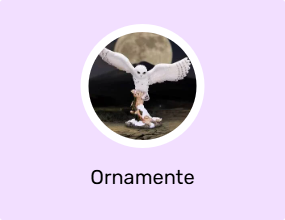 Ornamente