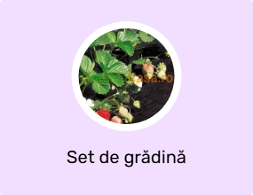 Set de grădină