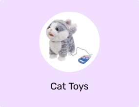 Cat Toys