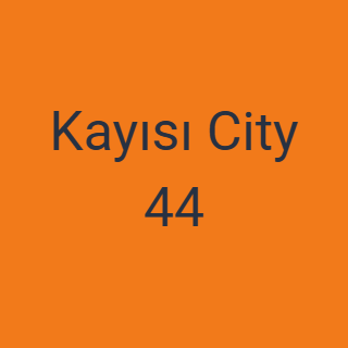 Kayısı City 44