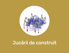 Jucării de construit
