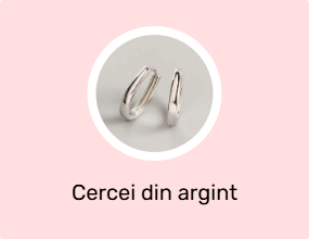 Cercei din argint