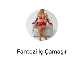 Fantezi İç Çamaşır Takımı