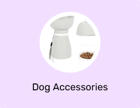 Dog Accessories