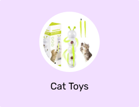 Cat Toys