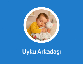 Uyku Arkadaşı