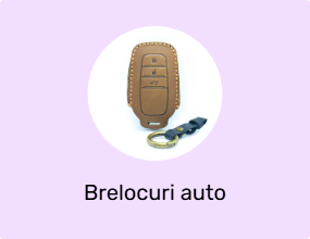 Brelocuri auto