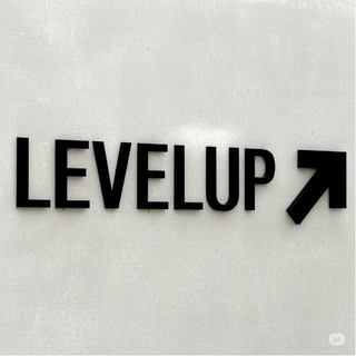 LEVEL UPp