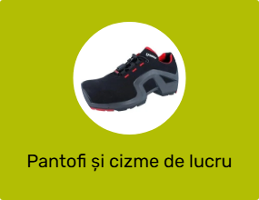 Pantofi și cizme de lucru