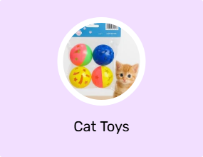 Cat Toys