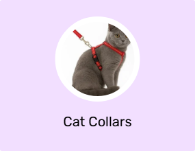 Cat Collars