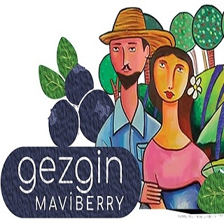 Gezginmaviberry